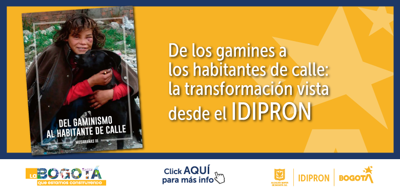 De los gamines a los habitantes de calle: La transformación vista desde IDIPRON