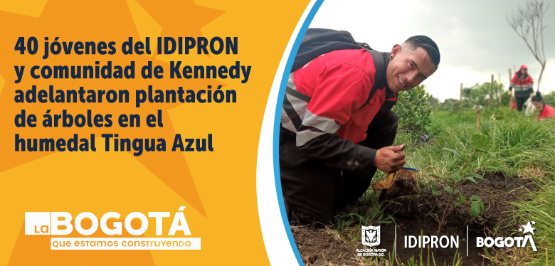 40 jóvenes del IDIPRON y comunidad adelantaron plantación en el humedal Tingua Azul