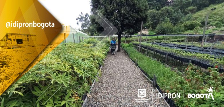 Imágenes del vivero Ceresa en San Cristóbal 